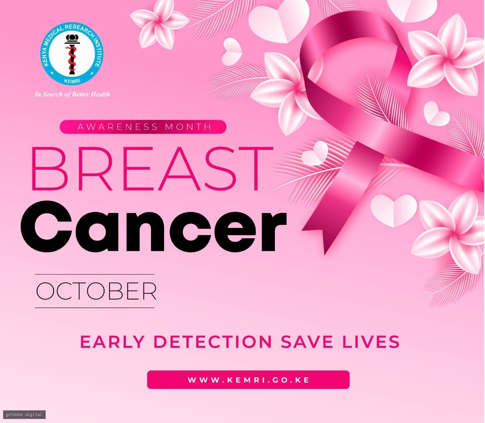 BREAST CANCER AWARENESS MONTH: WHY EARLY DETECTION SAVES LIVES IN KENYA